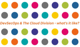 Dev Sec Ops and the cloud division. What is it like?